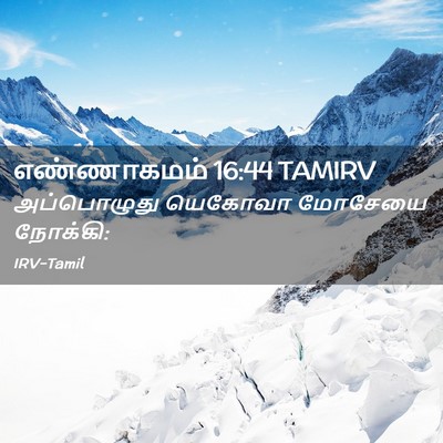 Picture 02 - எண்ணாகமம் 16:44 TAMIRV - அப்பொழுது யெகோவா - Bible Verse Picture