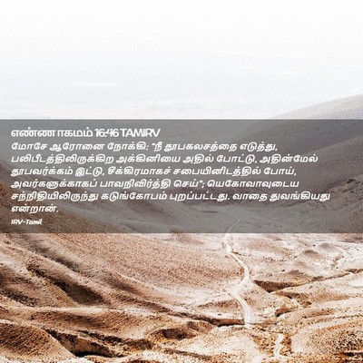 Picture 02 - எண்ணாகமம் 16:46 TAMIRV - மோசே ஆரோனை நோக்கி: - Bible Verse Picture