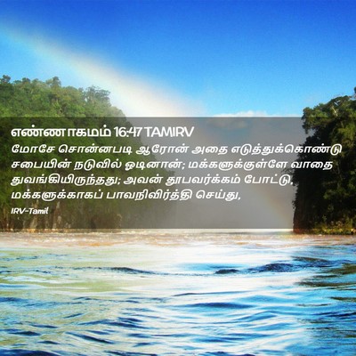 Picture 02 - எண்ணாகமம் 16:47 TAMIRV - மோசே சொன்னபடி - Bible Verse Picture