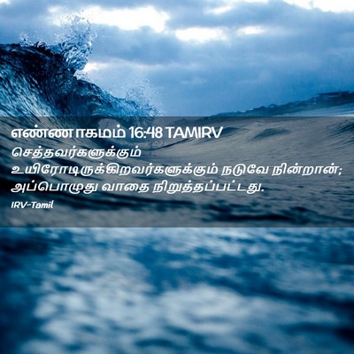 Picture 02 - எண்ணாகமம் 16:48 TAMIRV -  - Bible Verse Picture
