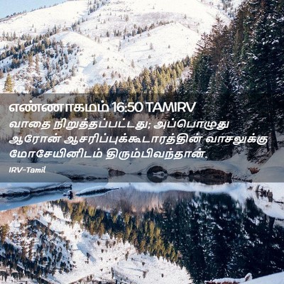 Picture 02 - எண்ணாகமம் 16:50 TAMIRV - வாதை - Bible Verse Picture