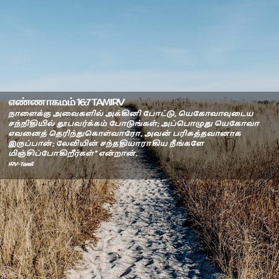Picture 02 - எண்ணாகமம் 16:7 TAMIRV - நாளைக்கு அவைகளில் - Bible Verse Picture