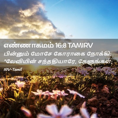 Picture 02 - எண்ணாகமம் 16:8 TAMIRV - பின்னும் மோசே - Bible Verse Picture