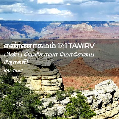 Picture 02 - எண்ணாகமம் 17:1 TAMIRV - பின்பு யெகோவா - Bible Verse Picture