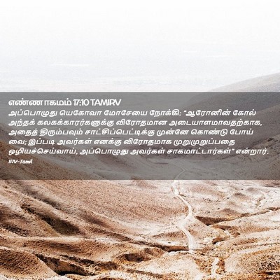 Picture 02 - எண்ணாகமம் 17:10 TAMIRV - அப்பொழுது யெகோவா - Bible Verse Picture