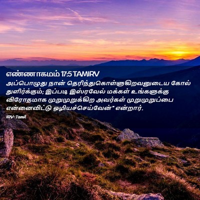 Picture 02 - எண்ணாகமம் 17:5 TAMIRV - அப்பொழுது நான் - Bible Verse Picture