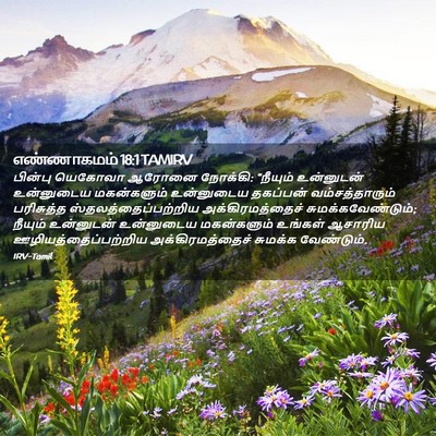 Picture 02 - எண்ணாகமம் 18:1 TAMIRV - பின்பு யெகோவா - Bible Verse Picture