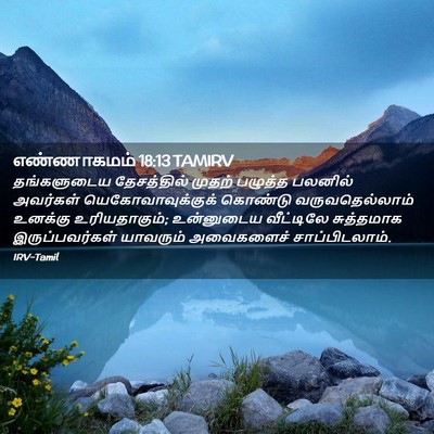 Picture 02 - எண்ணாகமம் 18:13 TAMIRV - தங்களுடைய - Bible Verse Picture
