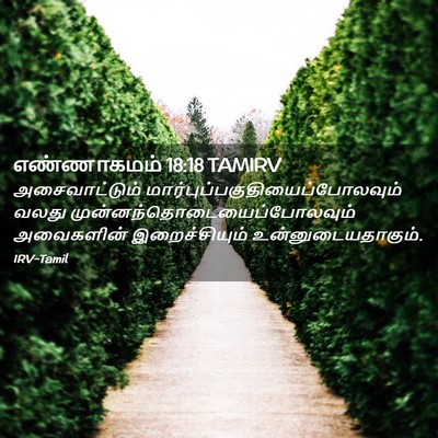 Picture 02 - எண்ணாகமம் 18:18 TAMIRV - அசைவாட்டும் - Bible Verse Picture