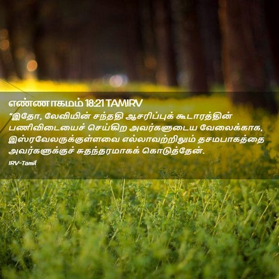 Picture 02 - எண்ணாகமம் 18:21 TAMIRV - “இதோ, லேவியின் - Bible Verse Picture