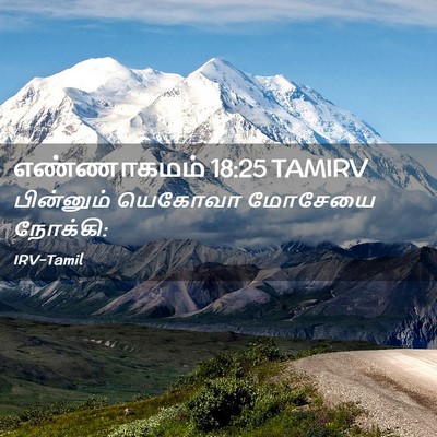 Picture 02 - எண்ணாகமம் 18:25 TAMIRV - பின்னும் யெகோவா - Bible Verse Picture