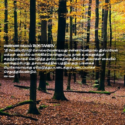 Picture 02 - எண்ணாகமம் 18:26 TAMIRV - “நீ லேவியரோடு - Bible Verse Picture