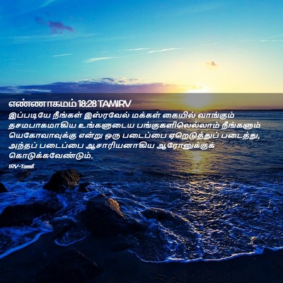 Picture 02 - எண்ணாகமம் 18:28 TAMIRV - இப்படியே நீங்கள் - Bible Verse Picture