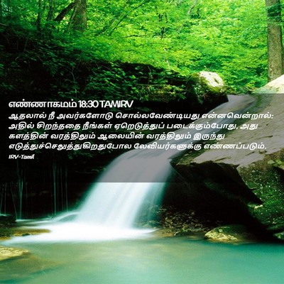 Picture 02 - எண்ணாகமம் 18:30 TAMIRV - ஆதலால் நீ - Bible Verse Picture