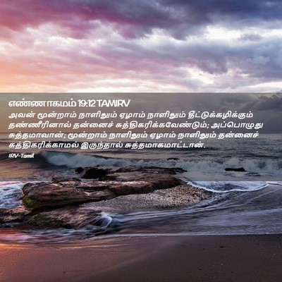 Picture 02 - எண்ணாகமம் 19:12 TAMIRV - அவன் மூன்றாம் - Bible Verse Picture