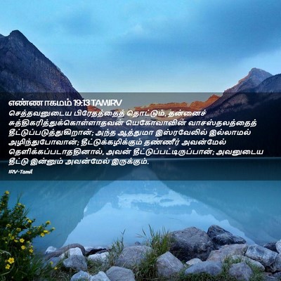 Picture 02 - எண்ணாகமம் 19:13 TAMIRV - செத்தவனுடைய - Bible Verse Picture