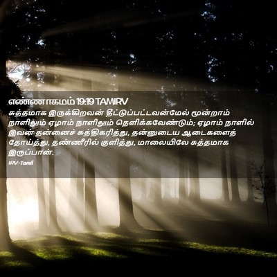 Picture 02 - எண்ணாகமம் 19:19 TAMIRV - சுத்தமாக - Bible Verse Picture