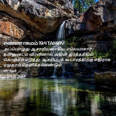 Picture 02 - எண்ணாகமம் 19:4 TAMIRV - அப்பொழுது - Bible Verse Picture