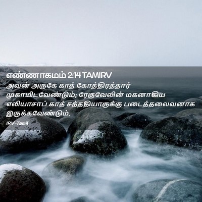 Picture 02 - எண்ணாகமம் 2:14 TAMIRV - அவன் அருகே காத் - Bible Verse Picture