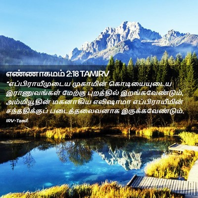 Picture 02 - எண்ணாகமம் 2:18 TAMIRV - “எப்பிராயீமுடைய - Bible Verse Picture