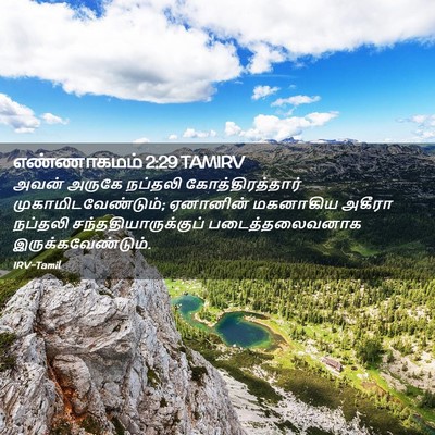 Picture 02 - எண்ணாகமம் 2:29 TAMIRV - அவன் அருகே நப்தலி - Bible Verse Picture