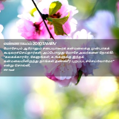 Picture 02 - எண்ணாகமம் 20:10 TAMIRV - மோசேயும் ஆரோனும் - Bible Verse Picture