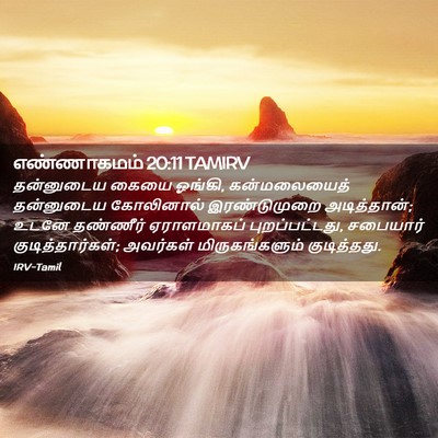 Picture 02 - எண்ணாகமம் 20:11 TAMIRV - தன்னுடைய கையை - Bible Verse Picture