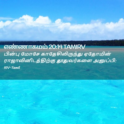 Picture 02 - எண்ணாகமம் 20:14 TAMIRV - பின்பு மோசே - Bible Verse Picture
