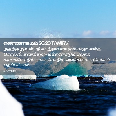 Picture 02 - எண்ணாகமம் 20:20 TAMIRV - அதற்கு அவன்: “நீ - Bible Verse Picture