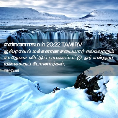 Picture 02 - எண்ணாகமம் 20:22 TAMIRV - இஸ்ரவேல் மக்களான - Bible Verse Picture