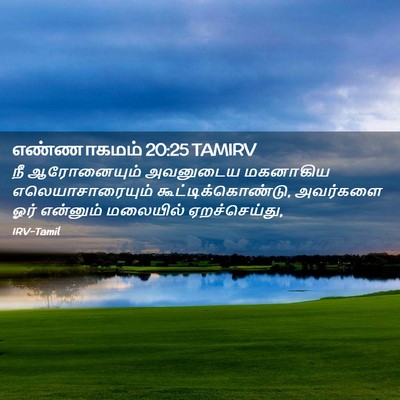 Picture 02 - எண்ணாகமம் 20:25 TAMIRV - நீ ஆரோனையும் - Bible Verse Picture