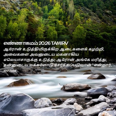 Picture 02 - எண்ணாகமம் 20:26 TAMIRV - ஆரோன் - Bible Verse Picture