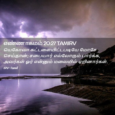 Picture 02 - எண்ணாகமம் 20:27 TAMIRV - யெகோவா - Bible Verse Picture