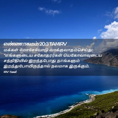 Picture 02 - எண்ணாகமம் 20:3 TAMIRV - மக்கள் மோசேயோடு - Bible Verse Picture