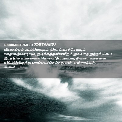 Picture 02 - எண்ணாகமம் 20:5 TAMIRV - விதைப்பும், - Bible Verse Picture