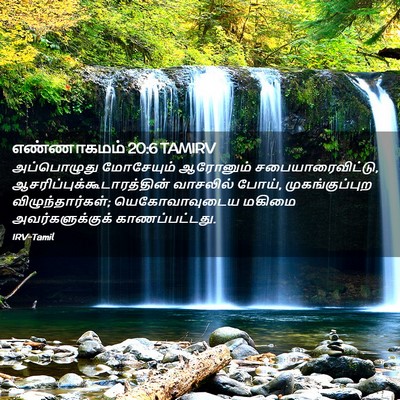 Picture 02 - எண்ணாகமம் 20:6 TAMIRV - அப்பொழுது - Bible Verse Picture