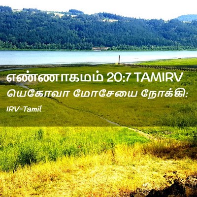 Picture 02 - எண்ணாகமம் 20:7 TAMIRV - யெகோவா மோசேயை - Bible Verse Picture
