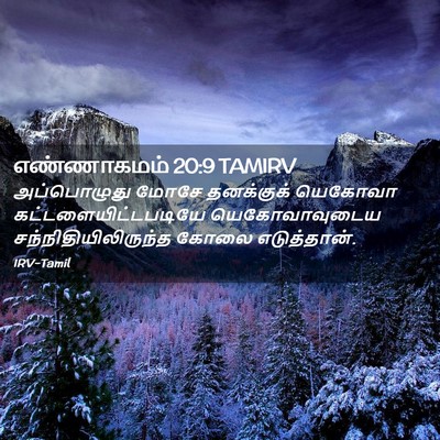 Picture 02 - எண்ணாகமம் 20:9 TAMIRV - அப்பொழுது மோசே - Bible Verse Picture
