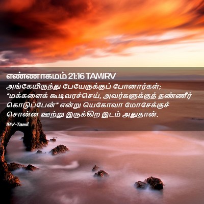 Picture 02 - எண்ணாகமம் 21:16 TAMIRV - அங்கேயிருந்து - Bible Verse Picture