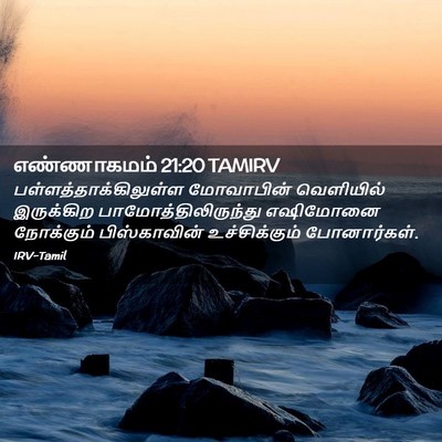 Picture 02 - எண்ணாகமம் 21:20 TAMIRV -  - Bible Verse Picture
