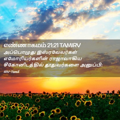 Picture 02 - எண்ணாகமம் 21:21 TAMIRV - அப்பொழுது - Bible Verse Picture