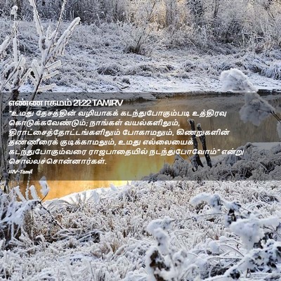 Picture 02 - எண்ணாகமம் 21:22 TAMIRV - “உமது தேசத்தின் - Bible Verse Picture