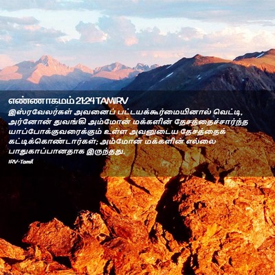 Picture 02 - எண்ணாகமம் 21:24 TAMIRV - இஸ்ரவேலர்கள் - Bible Verse Picture