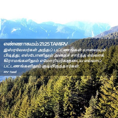 Picture 02 - எண்ணாகமம் 21:25 TAMIRV - இஸ்ரவேலர்கள் - Bible Verse Picture