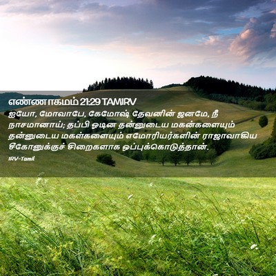 Picture 02 - எண்ணாகமம் 21:29 TAMIRV - ஐயோ, மோவாபே, கேமோஷ் - Bible Verse Picture