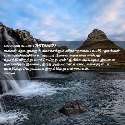 Picture 02 - எண்ணாகமம் 21:5 TAMIRV - மக்கள் - Bible Verse Picture