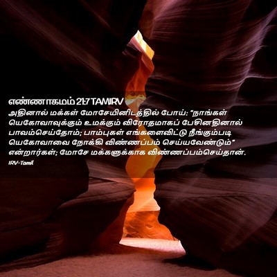 Picture 02 - எண்ணாகமம் 21:7 TAMIRV - அதினால் மக்கள் - Bible Verse Picture
