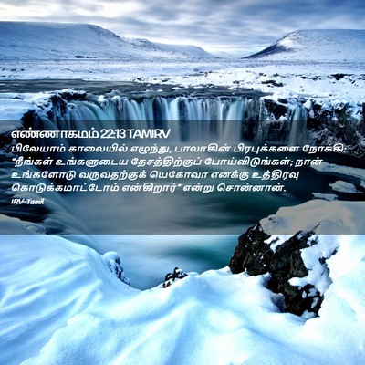 Picture 02 - எண்ணாகமம் 22:13 TAMIRV - பிலேயாம் காலையில் - Bible Verse Picture