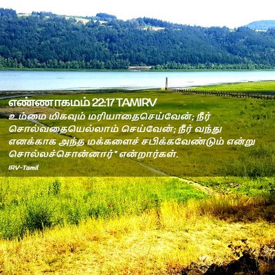 Picture 02 - எண்ணாகமம் 22:17 TAMIRV - உம்மை மிகவும் - Bible Verse Picture