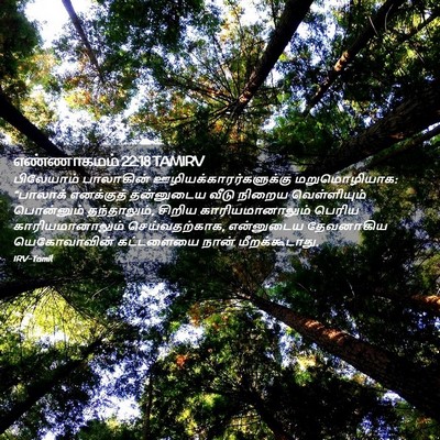 Picture 02 - எண்ணாகமம் 22:18 TAMIRV - பிலேயாம் பாலாகின் - Bible Verse Picture